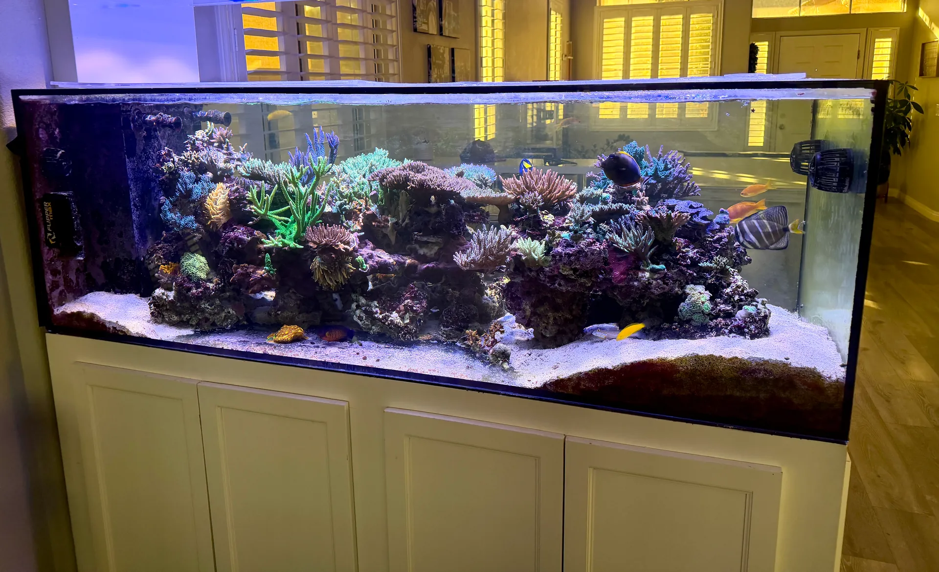 Custom Reef Installation - After